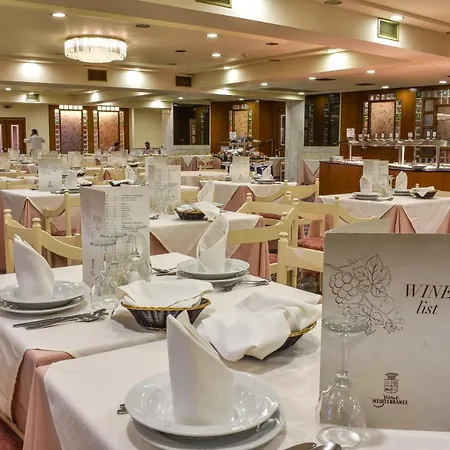Hotel Mediterranee 4*