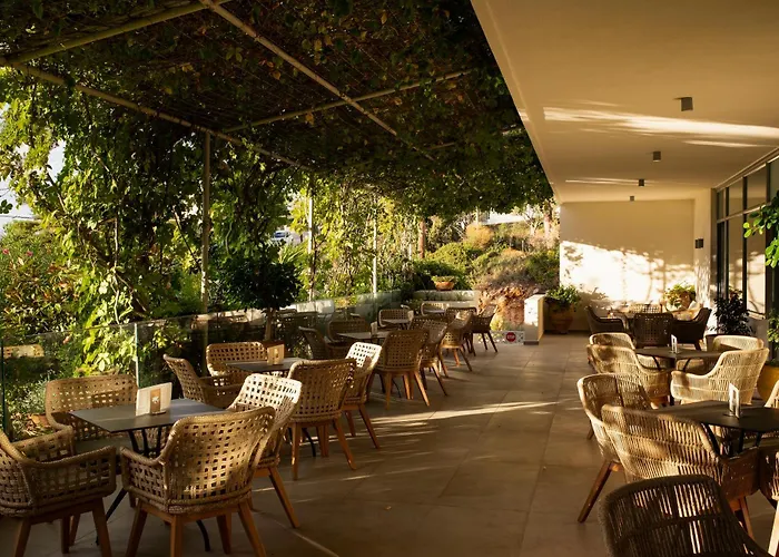 Hotel Mediterranee 4*