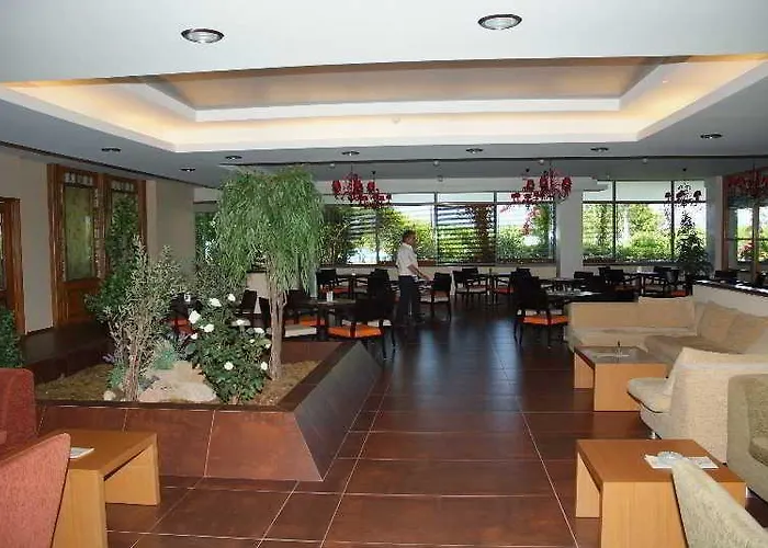 מלון Mediterranee